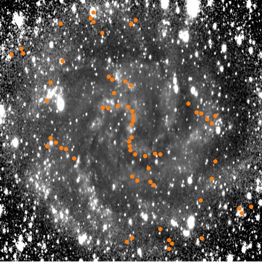 M 33 stretched to face-on, a grainy disk with spiral arms, with orange dots marking where the two-armed pattern peaks in each ring