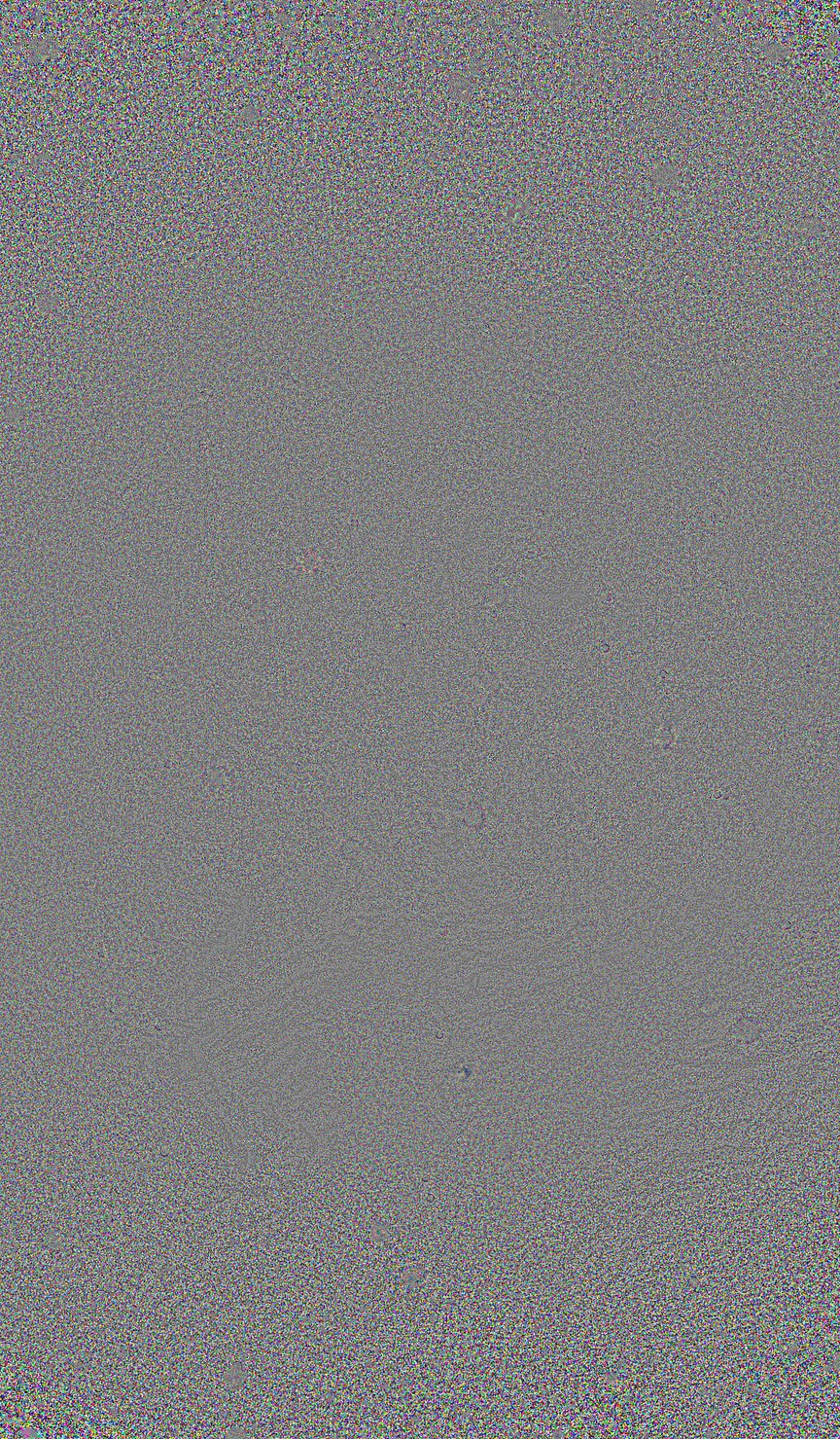 The grain removed by noise reduction, shown as gray noise