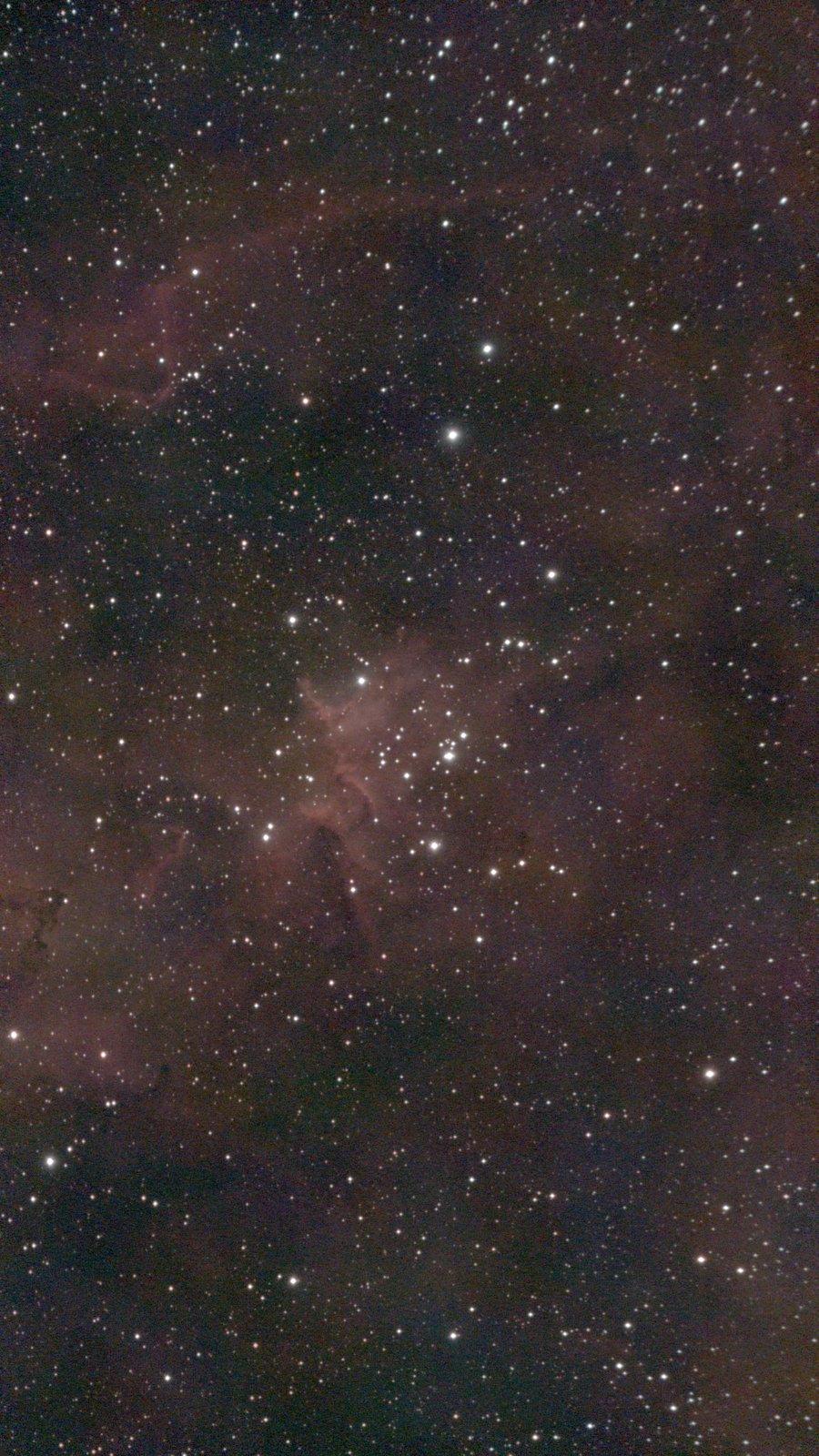IC 1805, the Heart Nebula's core with its star cluster and dark dust