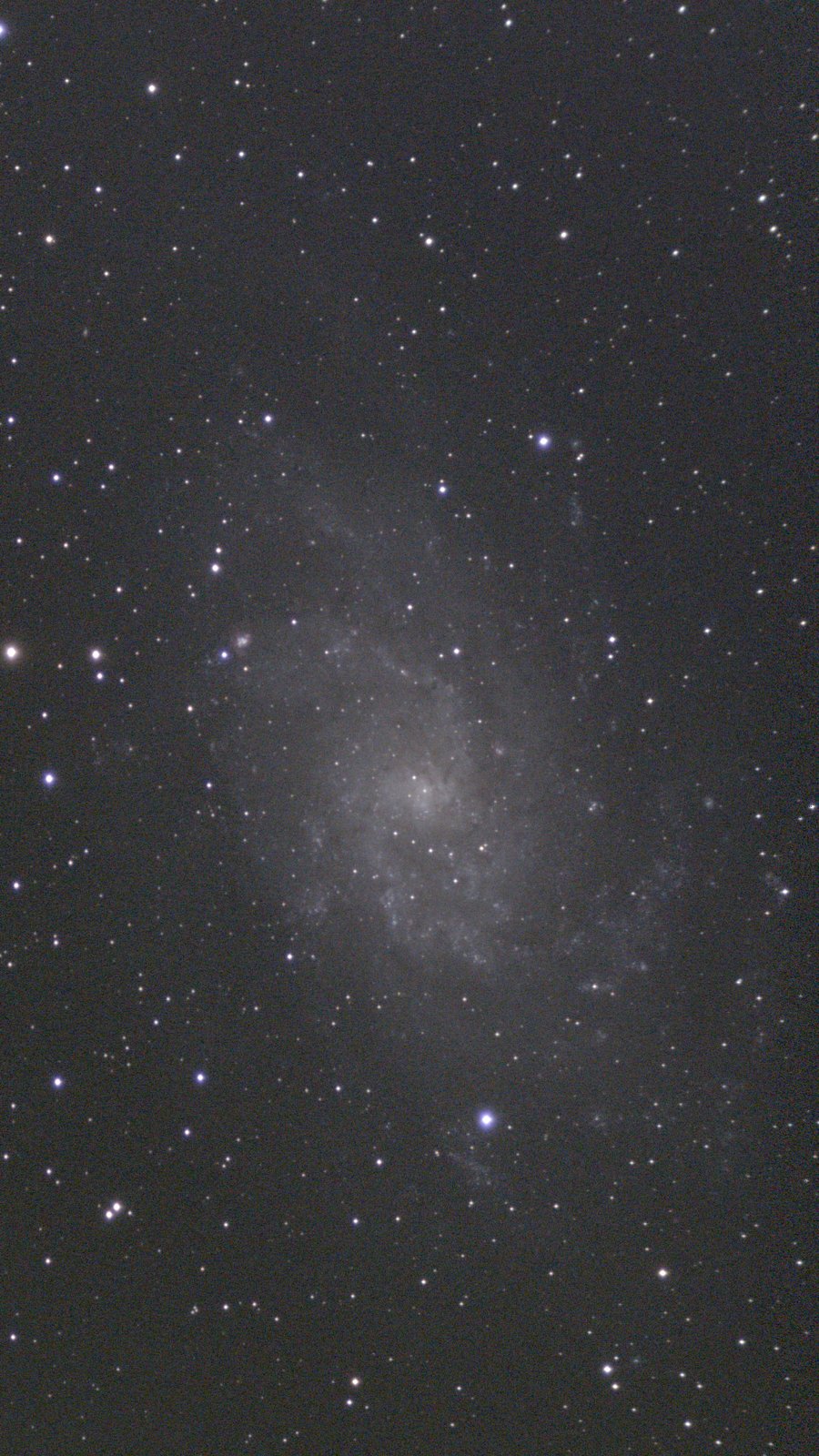 M 33, the Triangulum Galaxy, a faint spiral