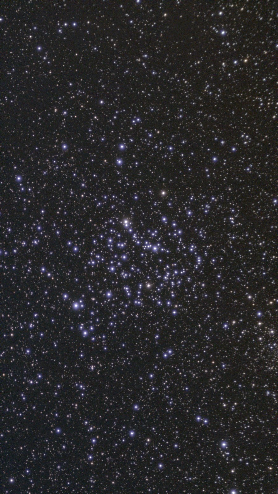 M 35, a rich open star cluster