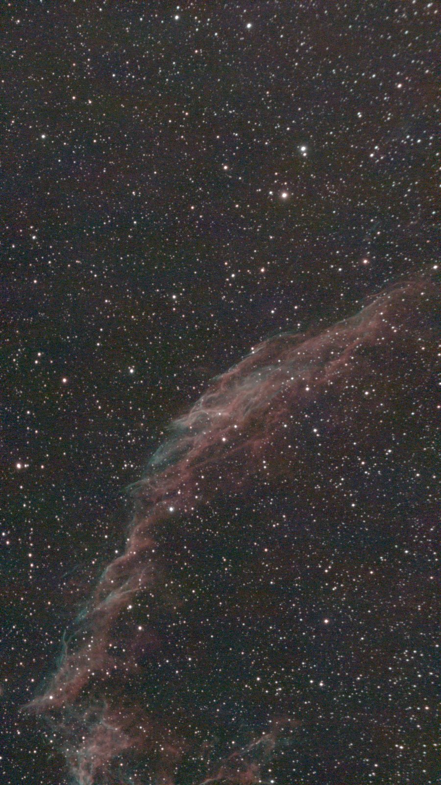 NGC 6992, the eastern Veil Nebula, red and blue-green filaments